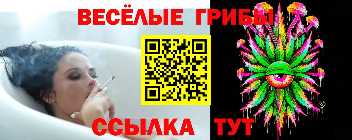 Галлюциногенные грибы Psilocybine cubensis  даркнет сайт  Малоярославец  Галлюциногенные грибы Psilocybine cubensis  Вход с VPN 